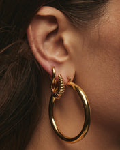 Load image into Gallery viewer, LAJ Amalfi Tube Hoops
