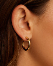 Load image into Gallery viewer, GOR Carter Small Hoops
