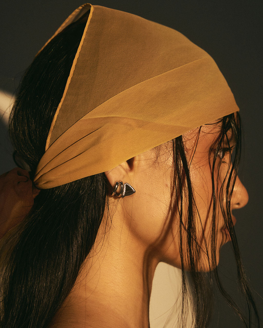 LAJ Layla Split Hoops