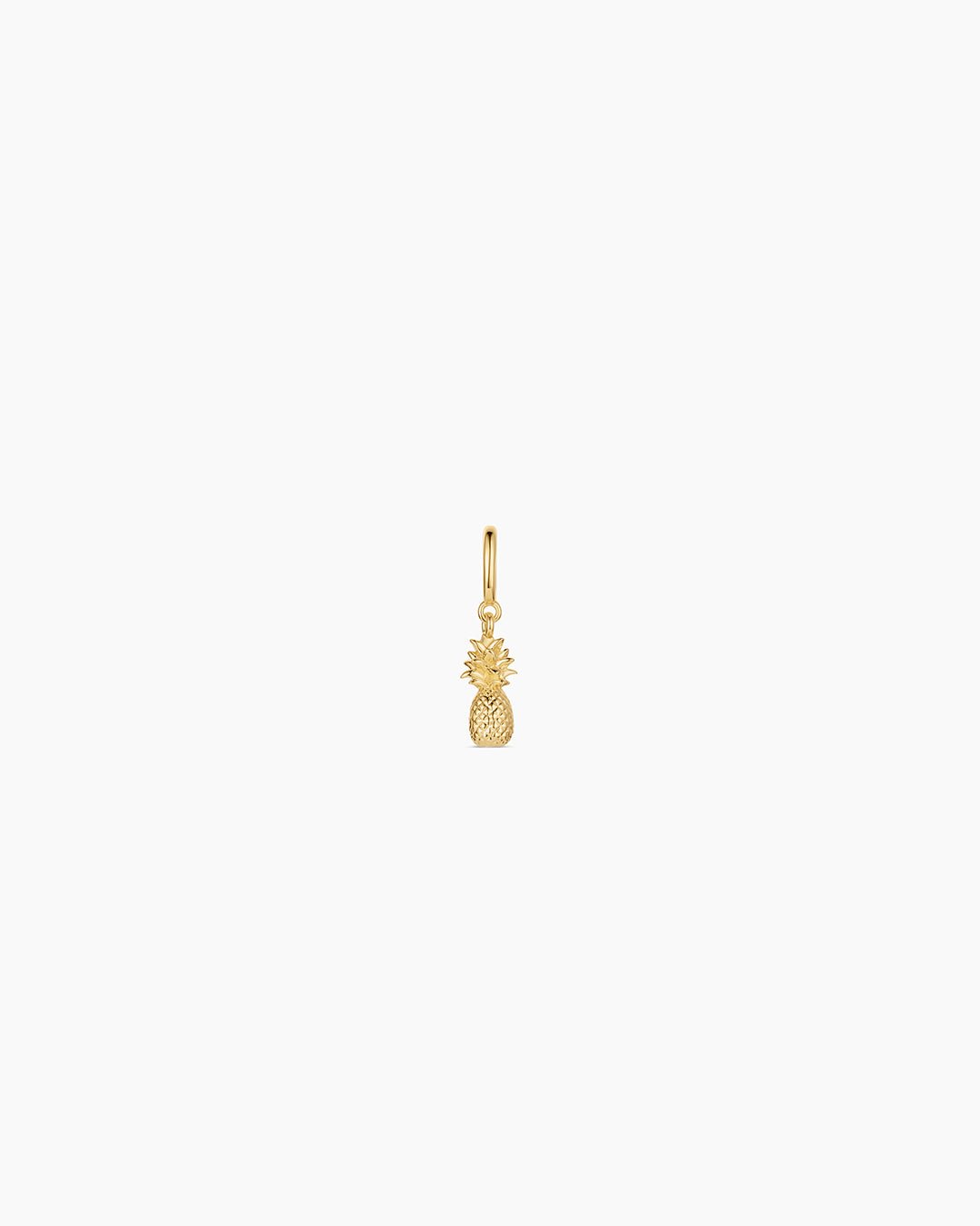 GOR Pineapple Parker Charm