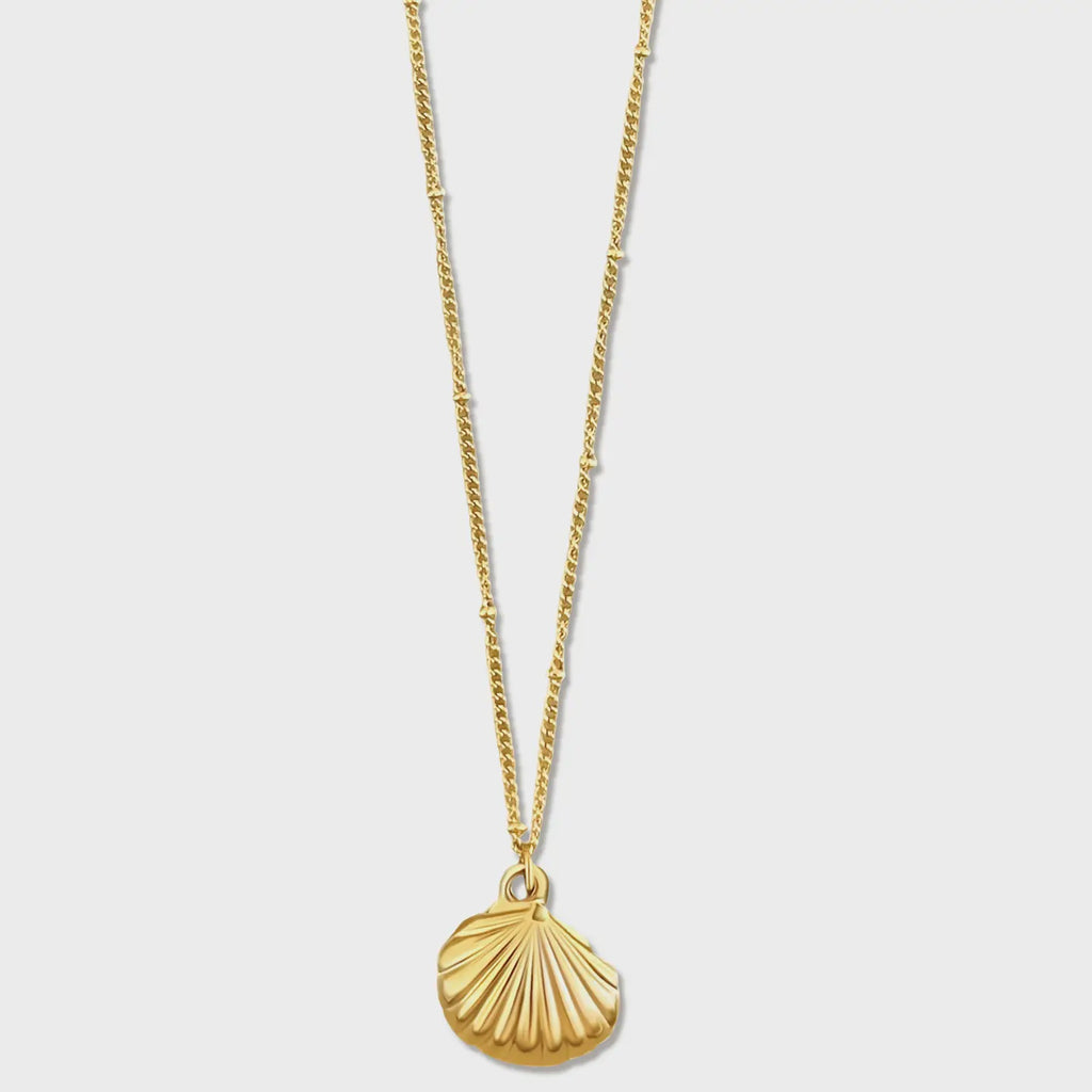 EV Georgina Shell Pendant Necklace