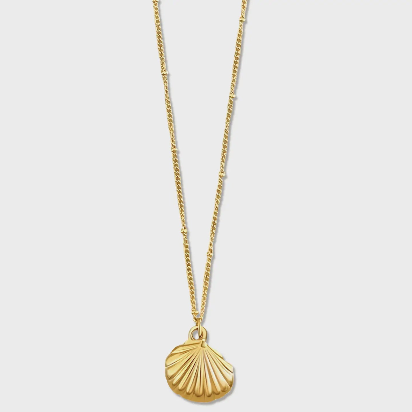 EV Georgina Shell Pendant Necklace
