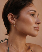 LAJ Cannoli Studs