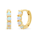 Tai TE-2122 Opal Earrings