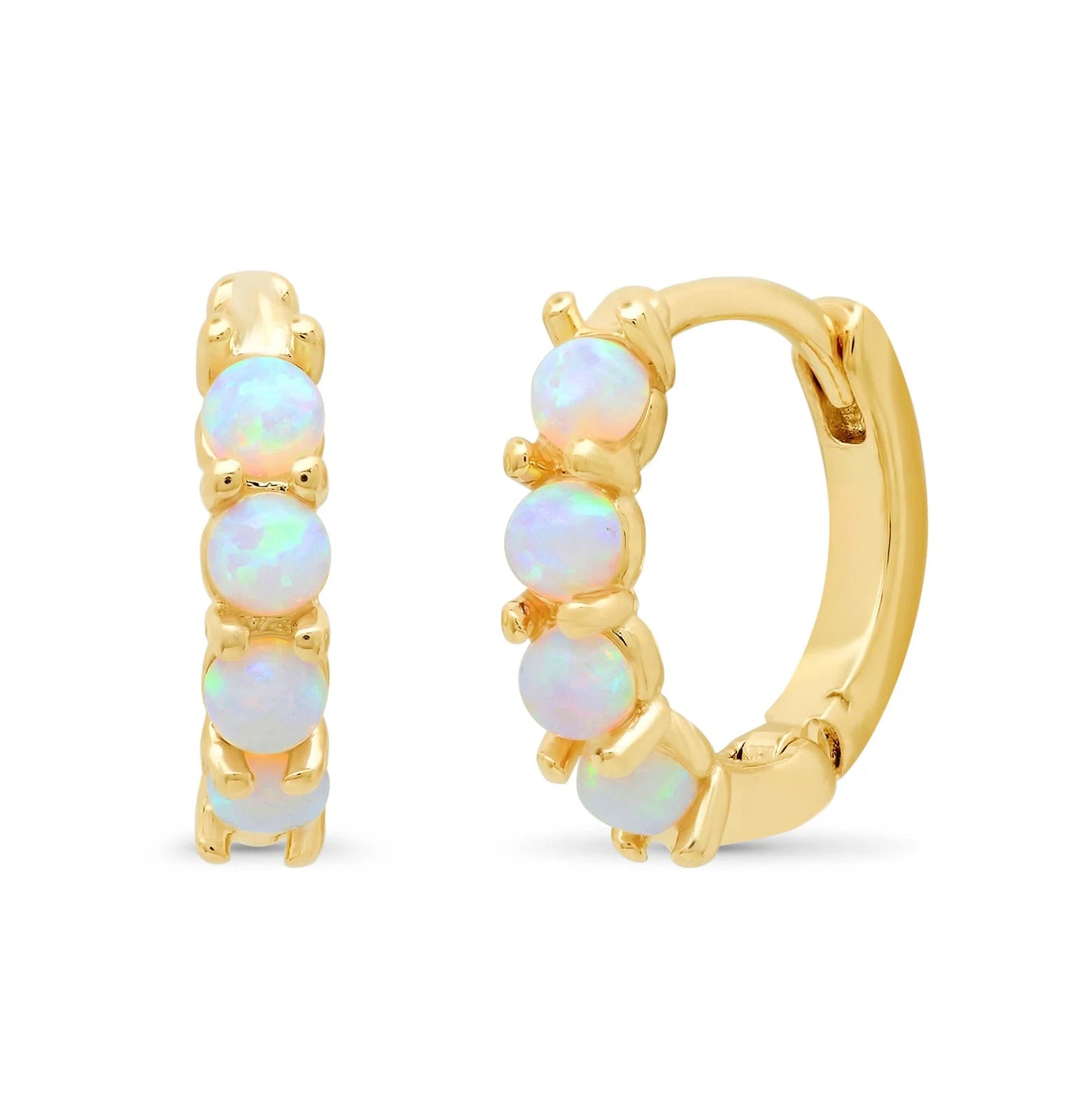 Tai TE-2122 Opal Earrings