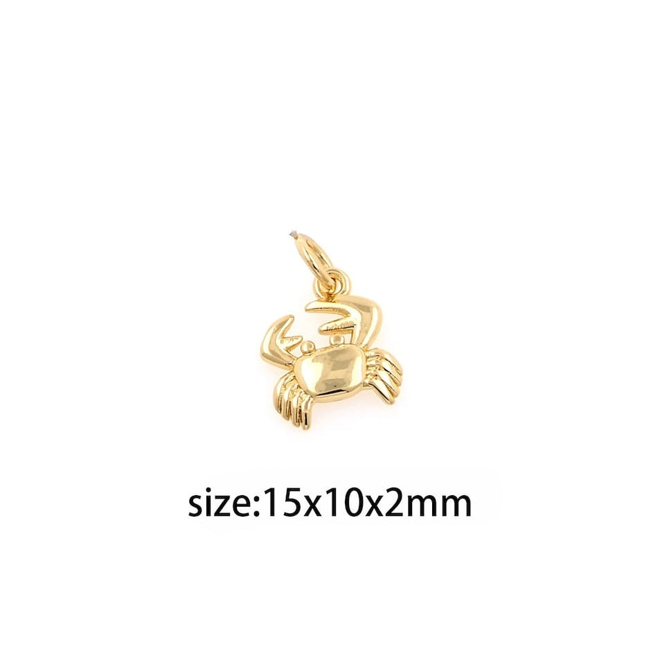 JULIA Small Charm