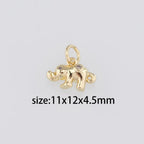 JULIA Small Charm