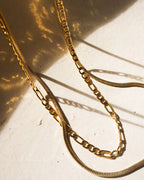 LAJ Cecilia Chain Necklace