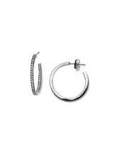 Load image into Gallery viewer, Tai CZ Hoop Earrings
