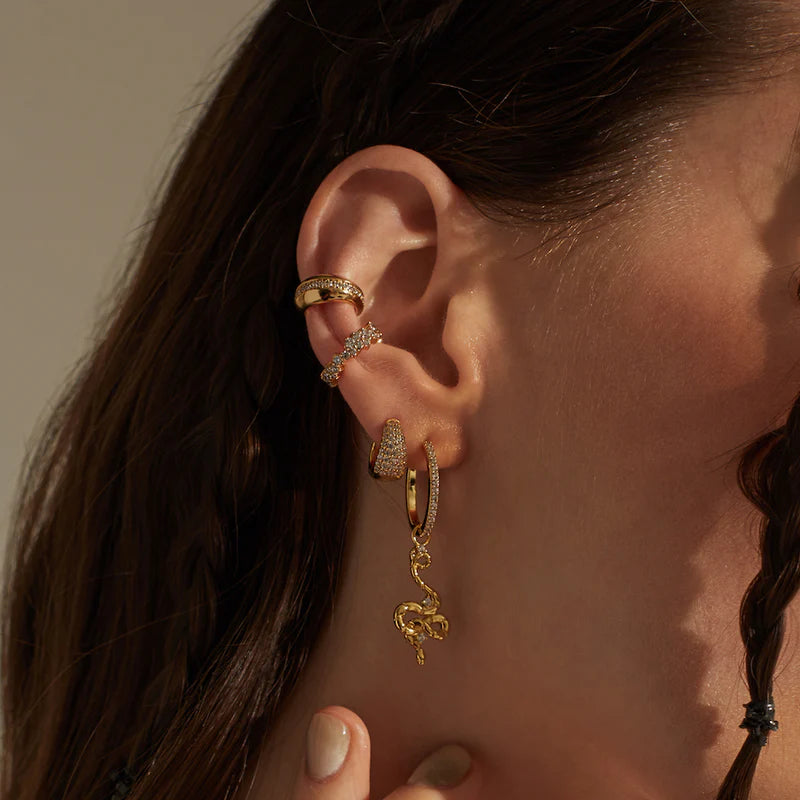 WCO Charmed Snake Earrings