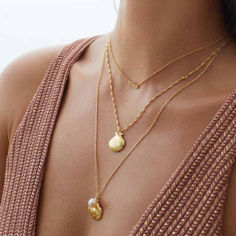 WCO Seashell Necklace