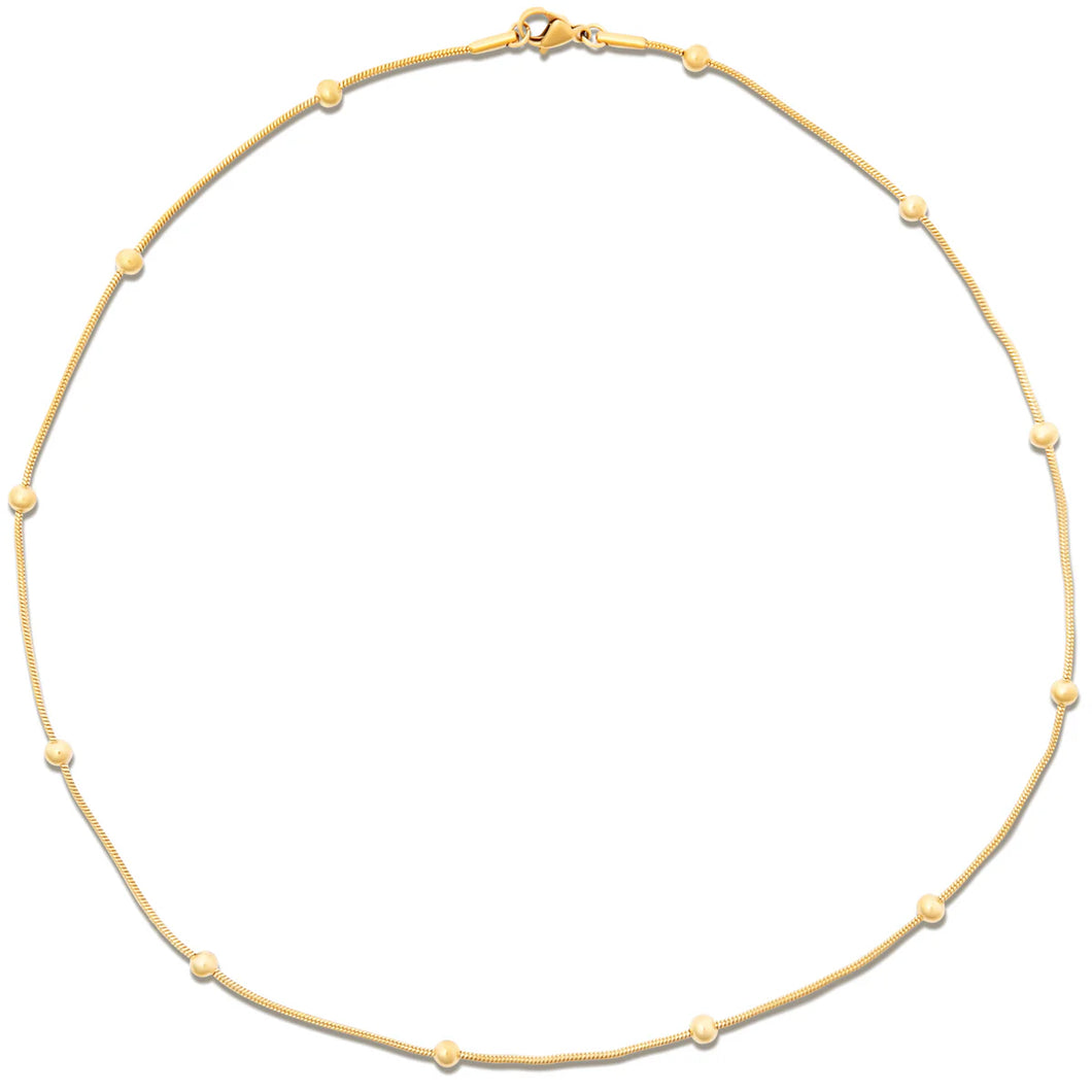 EV Rozlyn Beaded Ball Chain Necklace