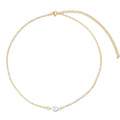 EV Shayla Choker Necklace