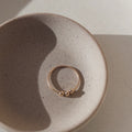 TKN Meridian Fidget Ring