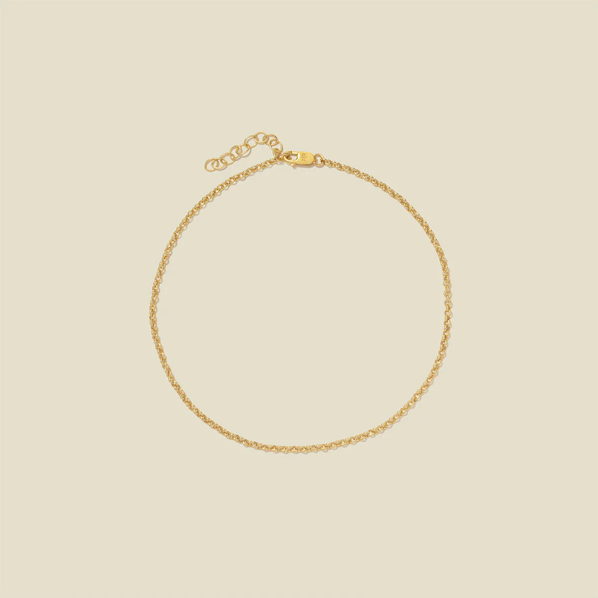 MBM Rolo Chain Anklet